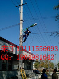 石家庄LED路灯厂家产品概览与中国照明网资讯